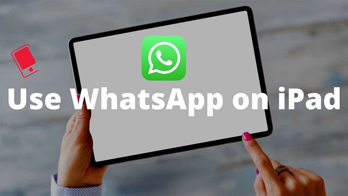utiliser whatsapp sur ipad