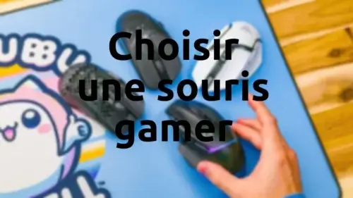 Infographie illustrant les critères de choix d'une souris gamer performante