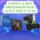 Choisir le bon processeur pour la RTX 5060 Ti en 2025 : guide des plateformes AM4, AM5 et Intel